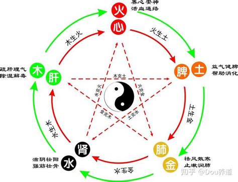 土性人|关于土性人的修行与健康